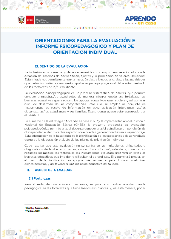 Orientaciones para la evaluación e informe psicopedagógico y plan de orientación individual